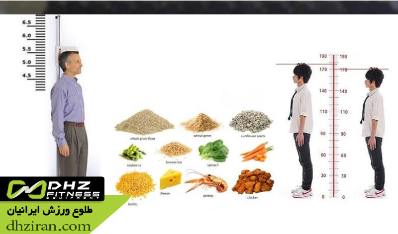 تغذیه و مکمل های موثر برای رشد قد سریع تر 