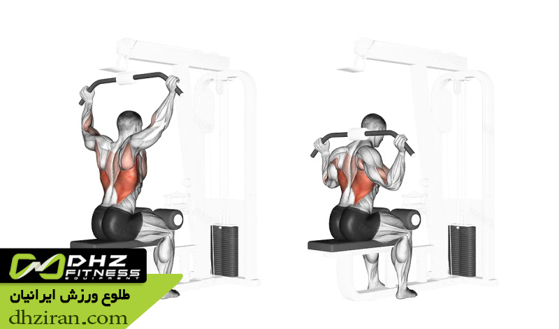 لت سیم کش از پشت گردن (Lat Pulldown Behind Neck):