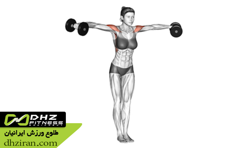 نشر جانب با دمبل سبک Lateral Raise with Light Dumbbells: